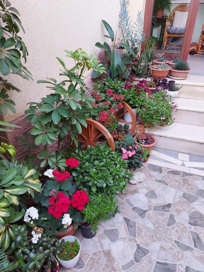 Vila Kodra Tirana Exteriör bild